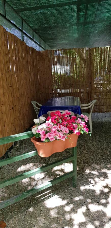 Camping Nuovo Massa  Zewnętrze zdjęcie